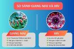 So sánh bệnh giang mai và hiv, giống và khác nhau